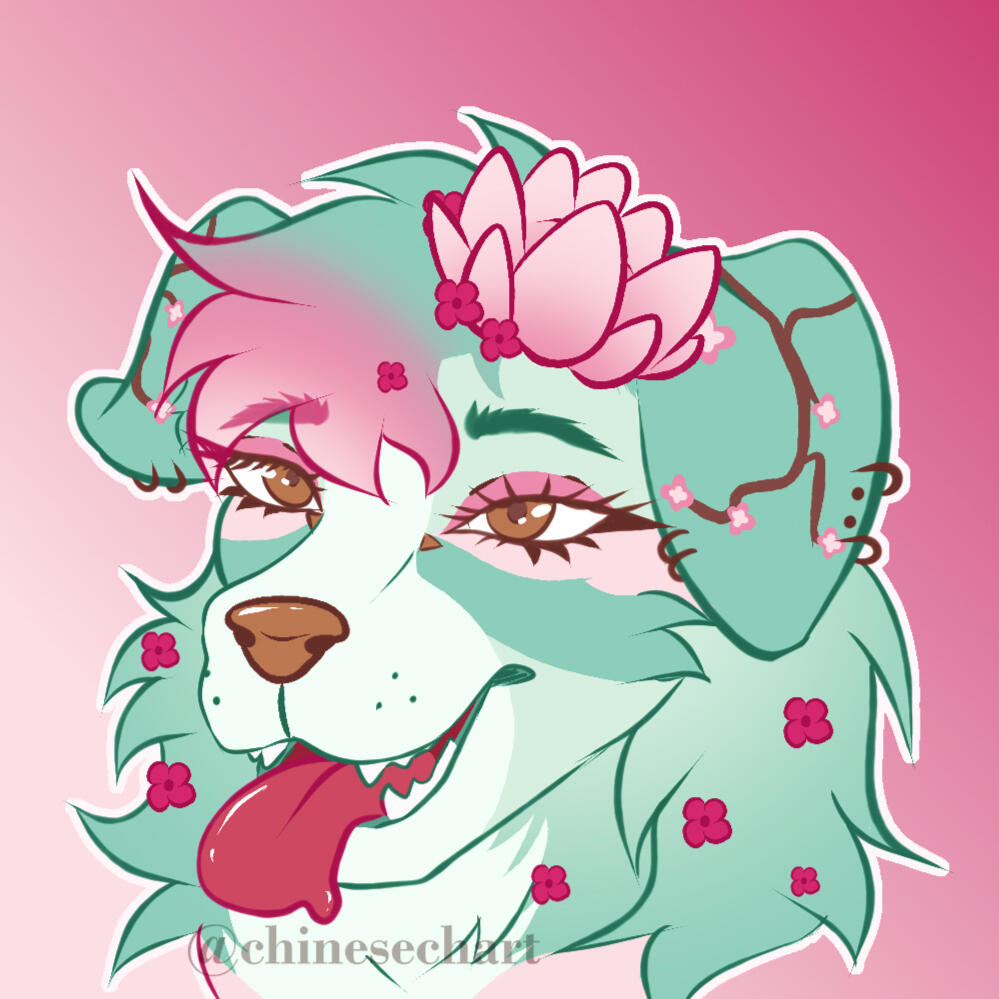 Freebie Freebie